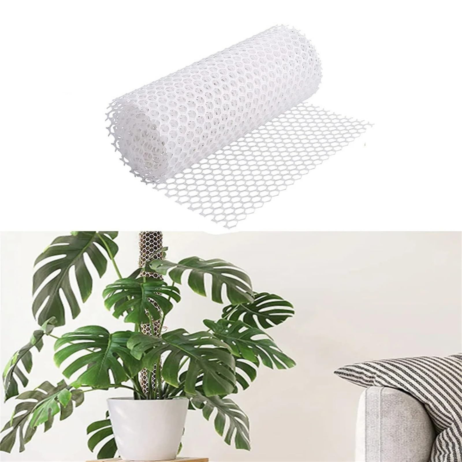 Kit De Bâtons De Mousse, Poteau De Mousse en Maille, Piquets De Mousse, Plantes Grimpantes, Supports Monstera, Bricolage
