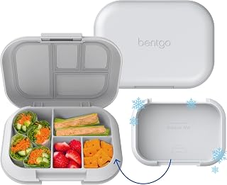 Chill Kids Leak-Proof Lunch Box - 4-Compartment Bento Box with Built-In Ice Pack, 3.3 Cup Capacity, PFAS & BPA-Free, Microwave & Dishwasher Safe, Ideal Size for Ages 3 to 7 (Gray)