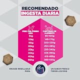 Ver la foto 6