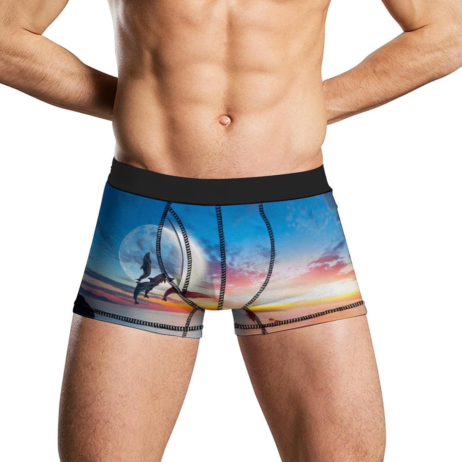 Beautiful Dolphin with Sunset Men's Boxer Briefs Novelty Underwear Trunks Short Underpants