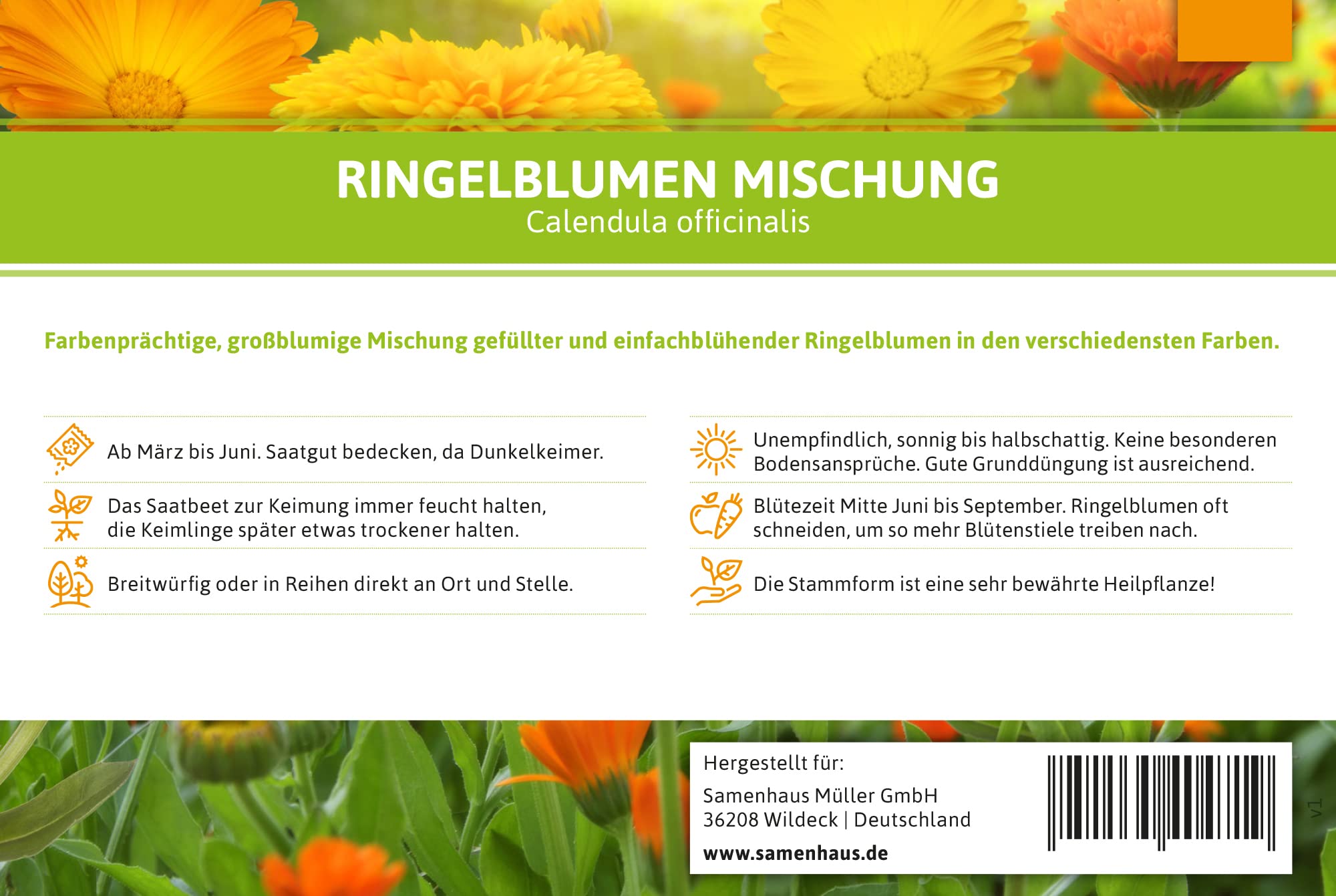 FLORTUS – Ringelblumen Samen Mischung 1kg Gelb-Orange zum Aussähen – Blumensamen für Bienenweide – Calendula officinalis Saatgut für bienenfreundliche Ringelblumen Pflanzen mit essbaren Blüten
