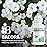 Bronson Bacopa Supports Healthy Brain Function and Mental Performance, Traditional Herb, Non-GMO, 180 Vegetarian Capsules