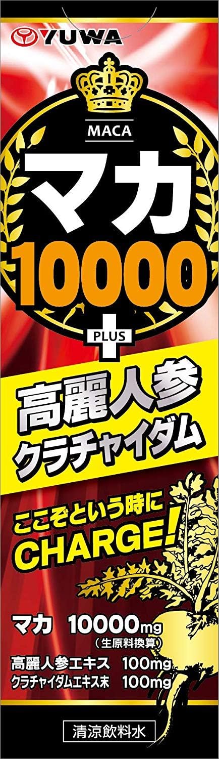 TERU　値下げしました　RM PROUD シーガル 値下げ❗️❗️ウェットスーツ セミドライ レイトラップ メンズ ML