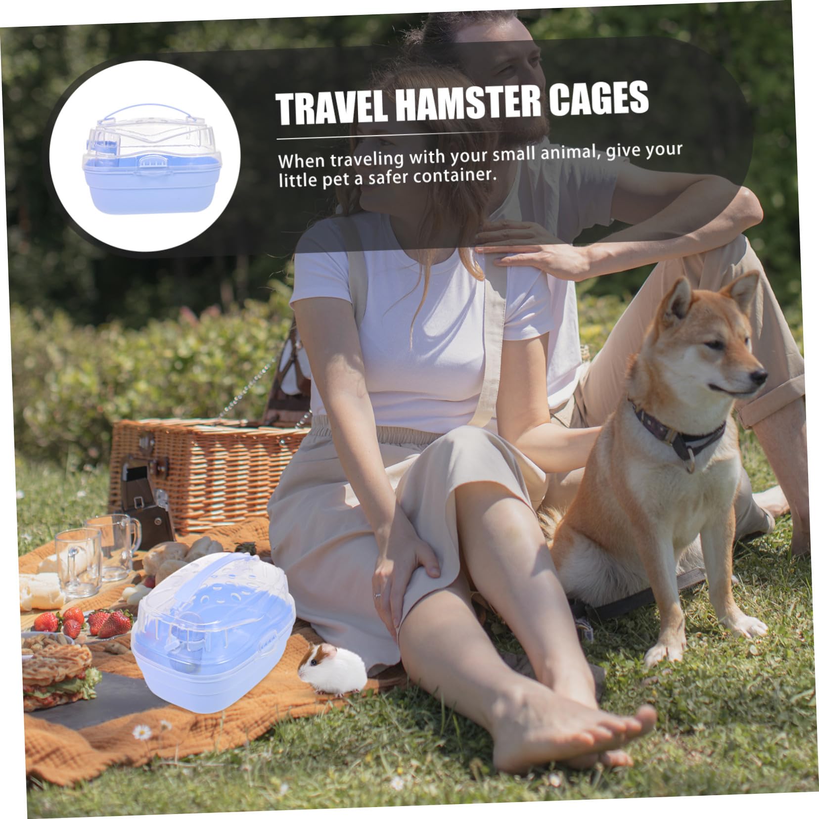 ibasenice Hamsterkäfig Klein Tragbare Hamstertransportbox Käfig Für Hamster Und Chinchilla Mit Lüftung Für Reisen Und Ausflüge