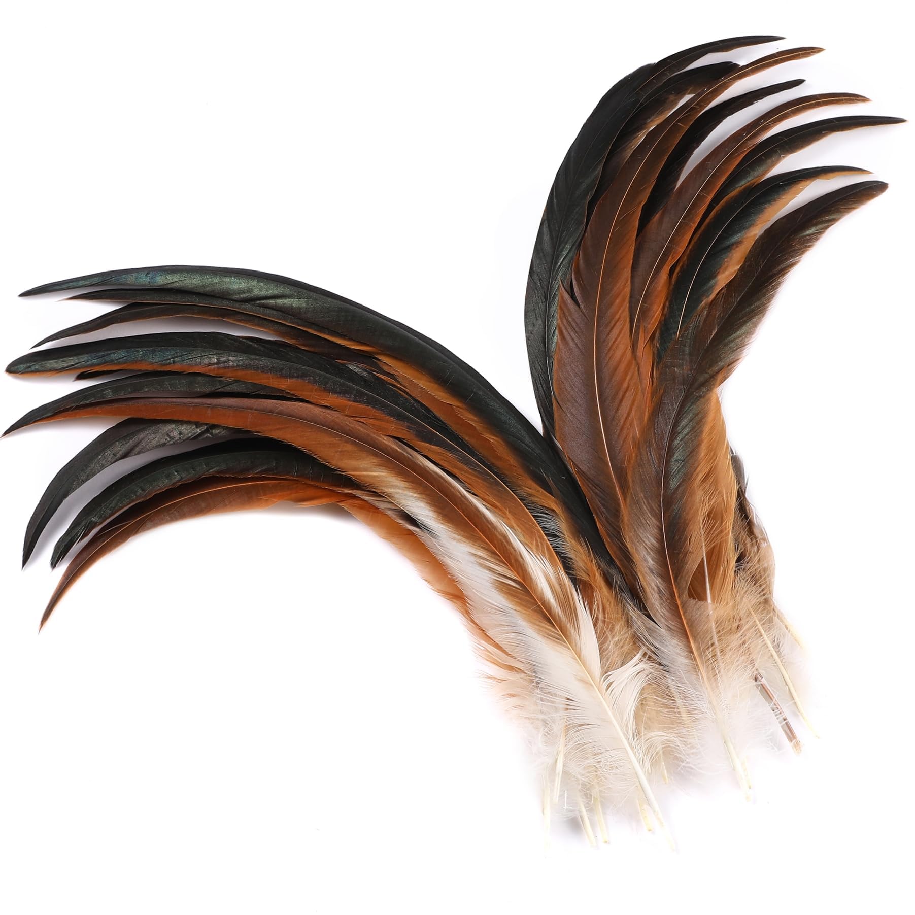 30PCS Natural Rooster Tail Feathers for Crafts, Asian Hobby Craft, Craft Items, DIY Dream Catcher Supplies and Hat Making Accessories, Perfect for Art Decoration and Handmade Ornament Projects-image-30