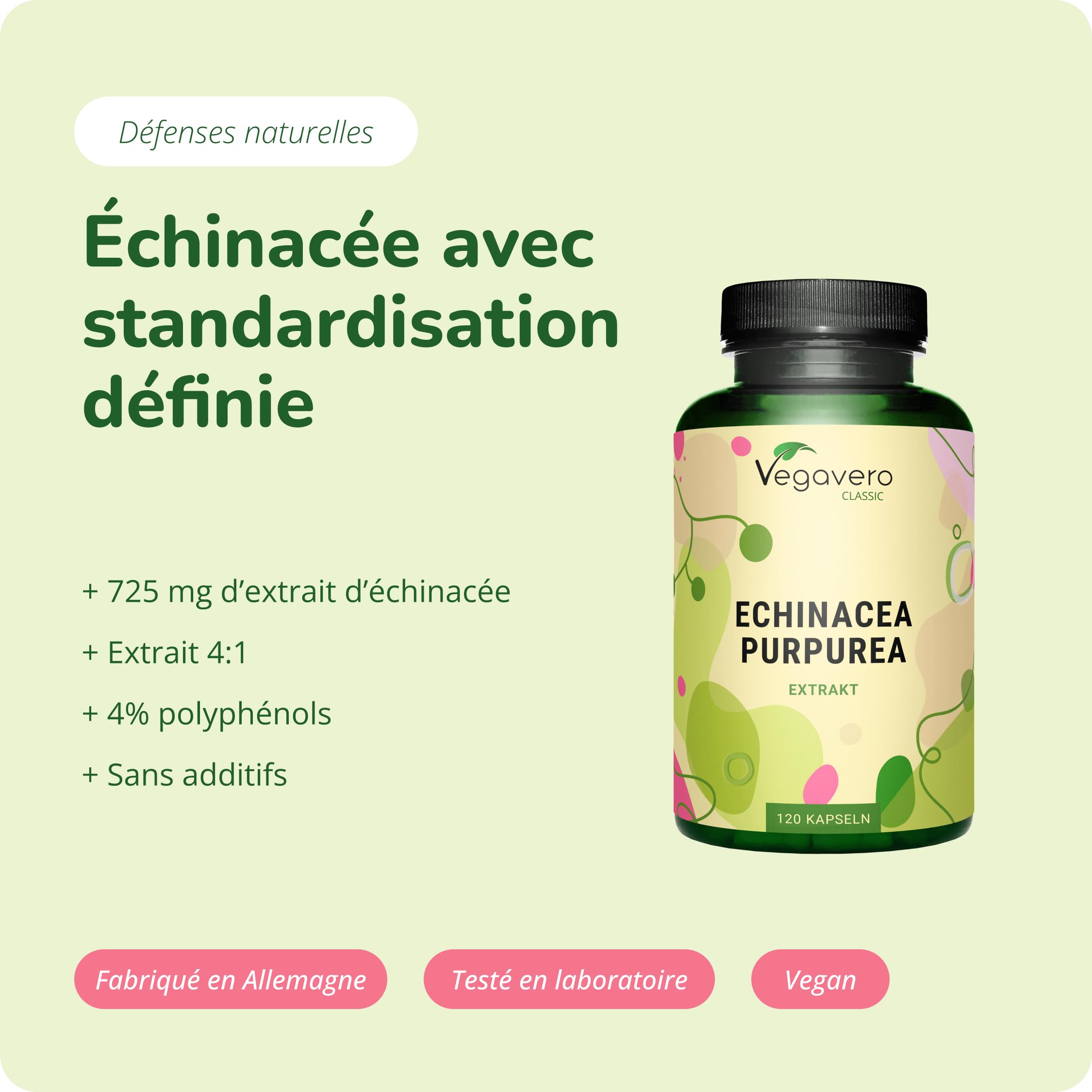 Echinacea Vegavero® | Extrait Pur : 725 mg | Unique : Avec 4% Polyphenol | 4 MOIS | Systeme Immunitaire + Antioxydant Puissant | Sans Additifs | VEGAN