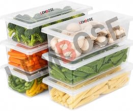 LEMBOSE Fridge Storage Refrigerator Organizer Container Square Handle Food Storage (Pack-of-6)