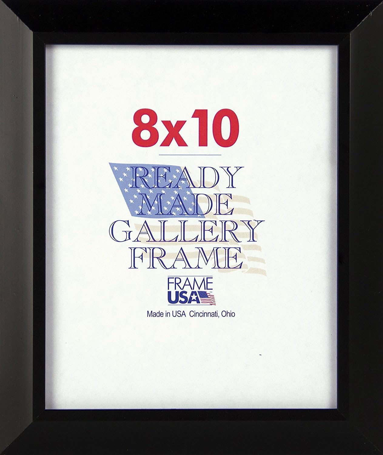 Frame USA Budget Saver Series 8x10 Polystyrene Poster