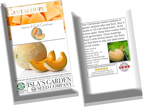Miniatura 6 de Semillas de melón "Hearts of Gold" para plantar, más de 50 semillas de reliquia por paquete, semillas de jardín de Isla (semillas de jardín de