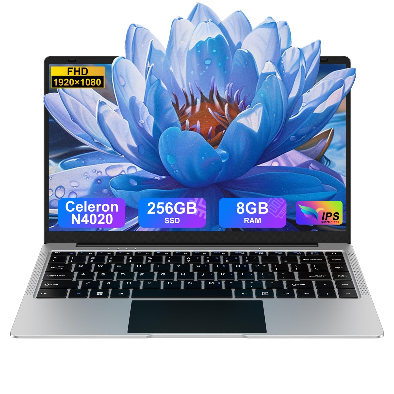bvate PC Portatile 14 Pollici Computer Portatile 8GB RAM 256GB SSD RPM 600 Notebook Celeron Fino a 2.8Ghz Laptop Win 11 con Mouse Wireless & Adesivi per Tastiera Italiana-Sliver