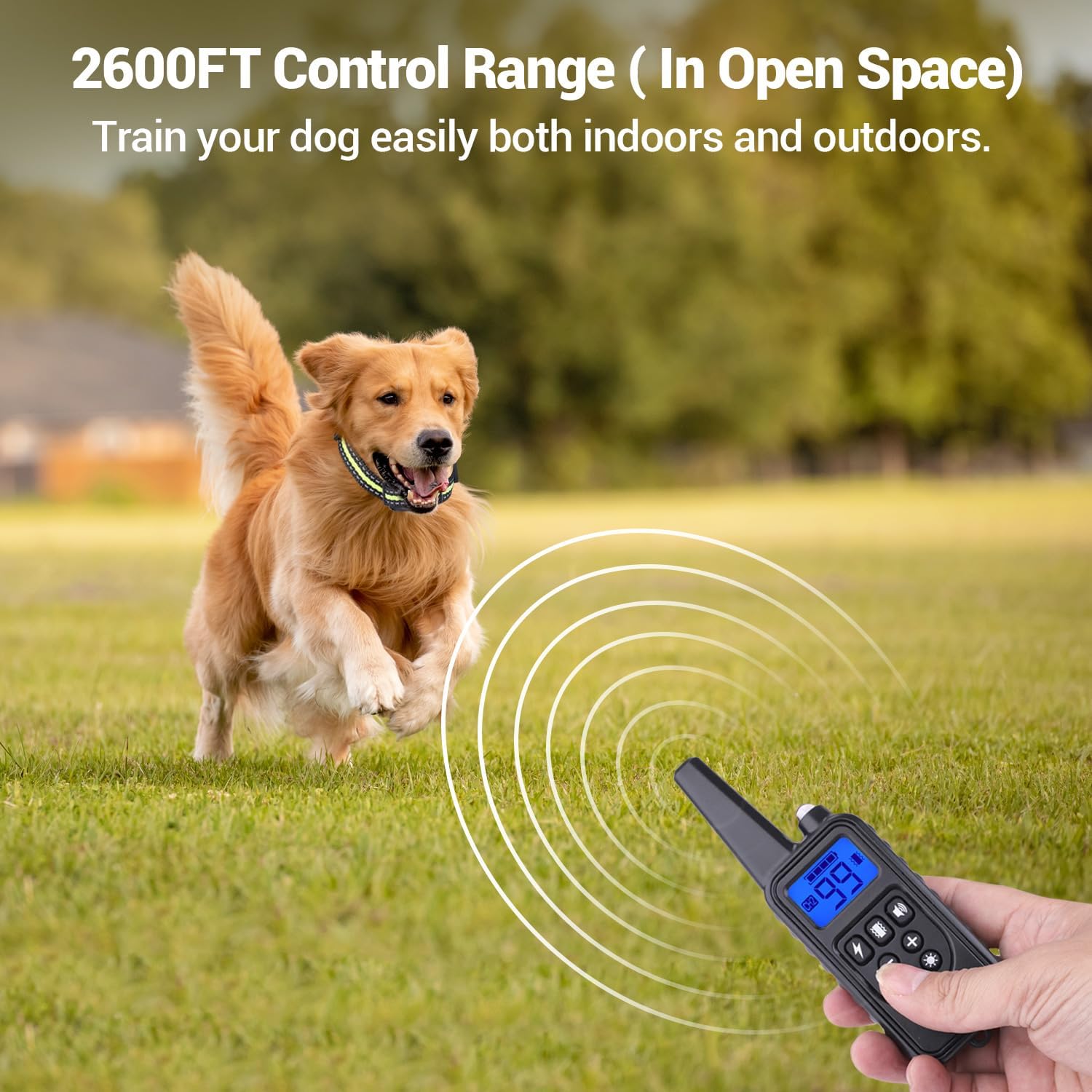 Dog running in a field with remote control in hand, showing 2600ft control range
