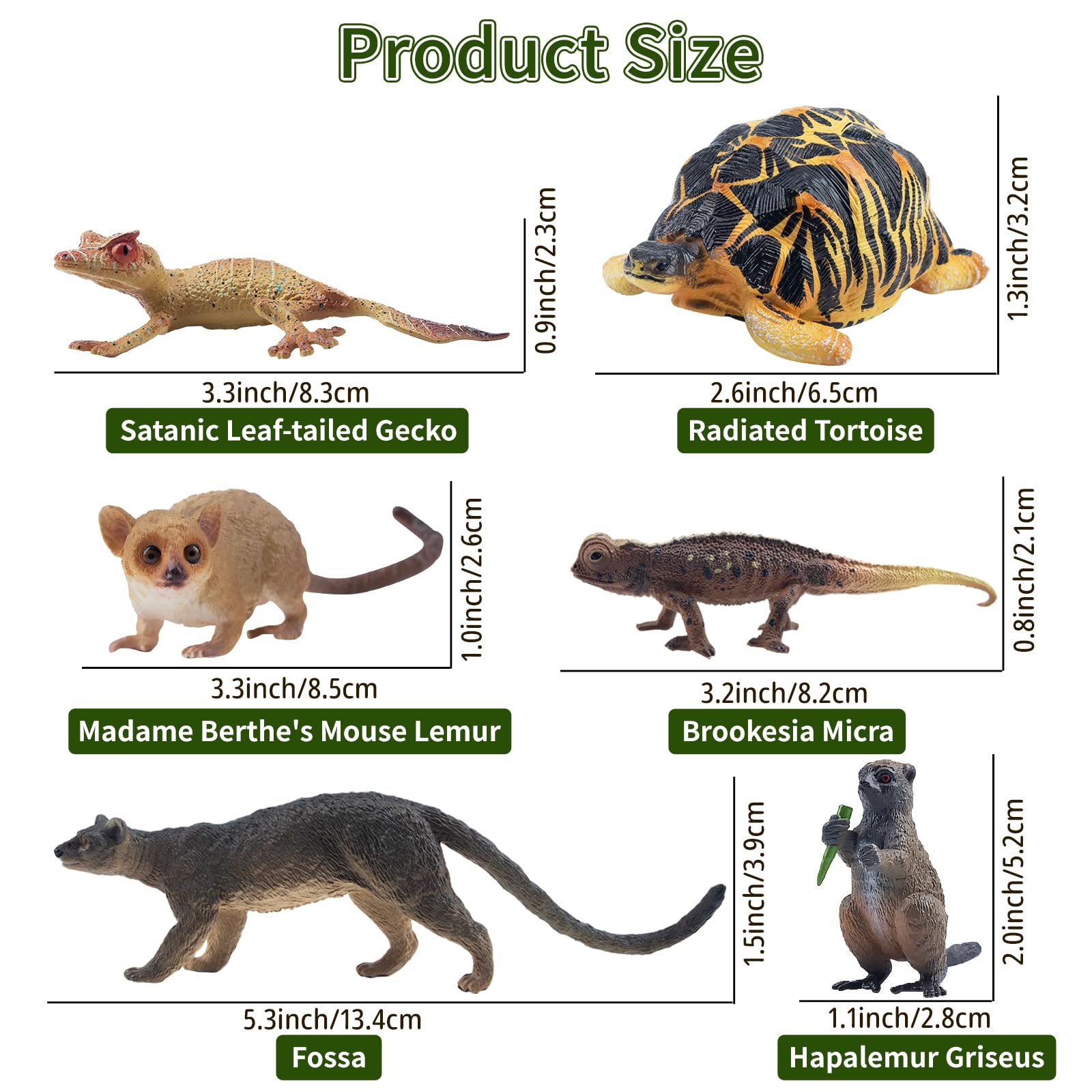 TOYMANY 12 sztuk figurek zwierząt leśnych, realistyczne zabawki Madagaskar, plastikowe zwierzęta, zwierzęta z dzikiej dżungli, figurki zwierząt z zoo, dekoracja tortu, prezent