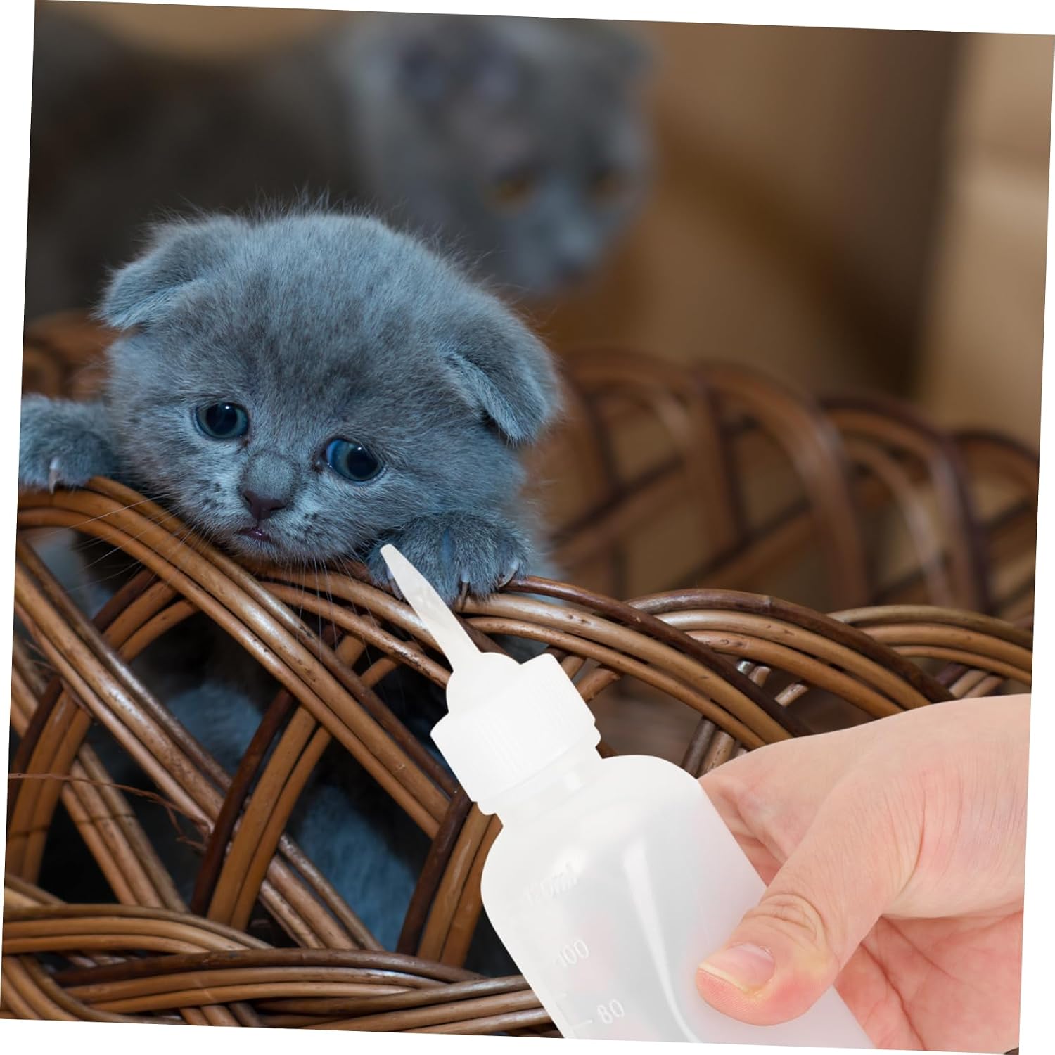 Toddmomy 12pcs Dog Cat Feeder Bottle Kitten Puppy Milk Bottle for Newborn Pets Compact Design