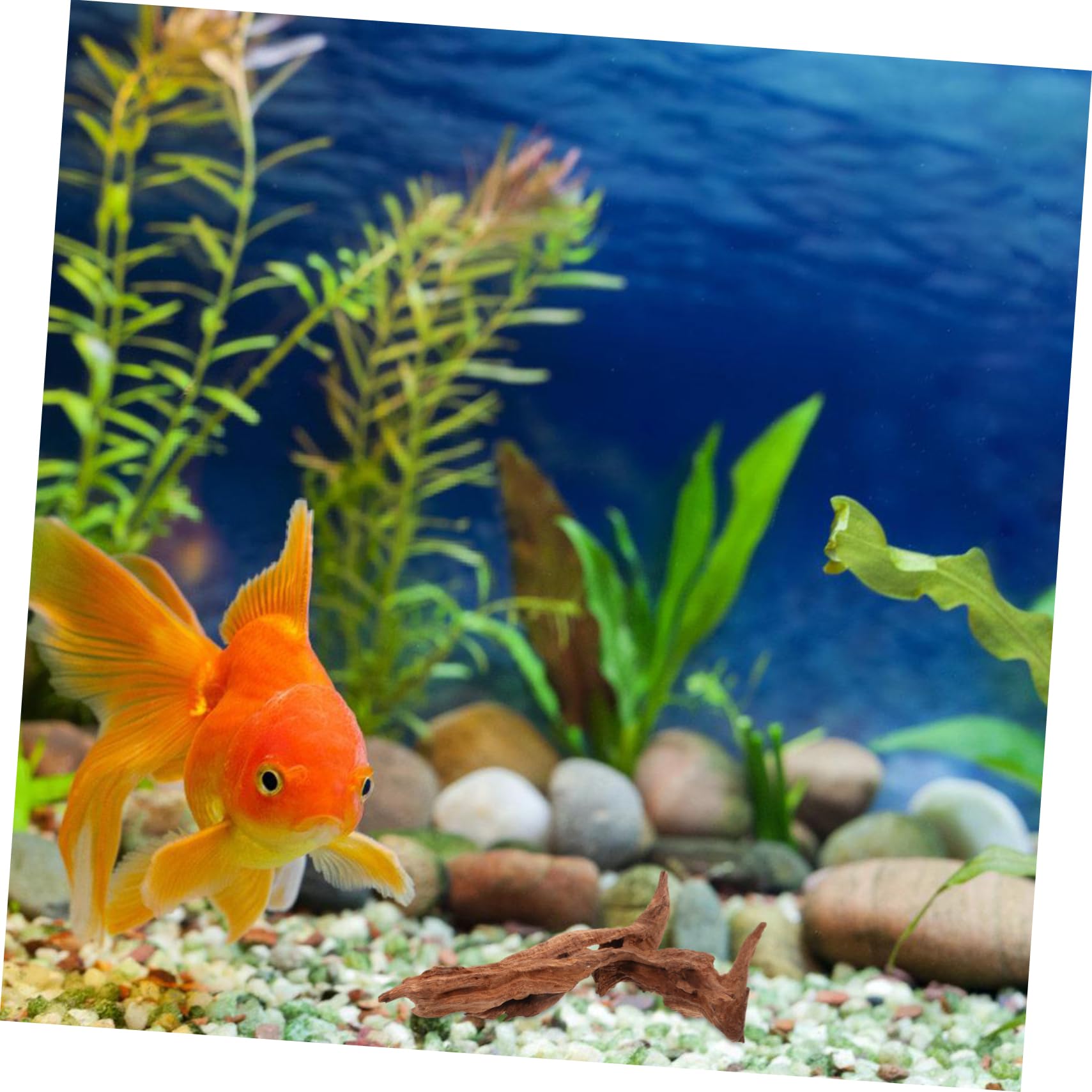 UPKOCH Aquarium Echtholz Dekoration Totholz Wurzel Ornament mit Stabilem Stand für Fisch und Reptilienbecken Natürliche Vielseitig als Moosbaum und Terrarien Deko Geeignet