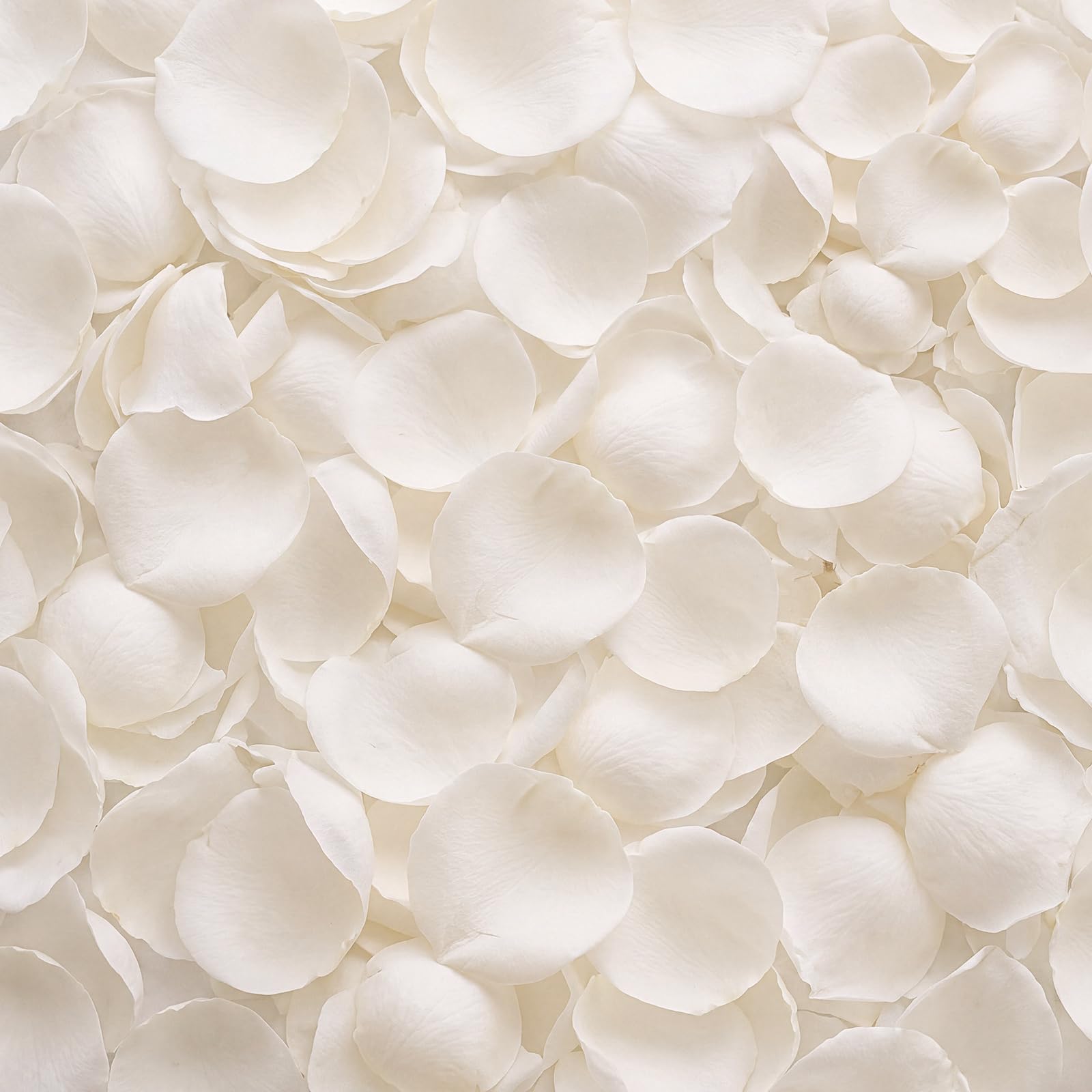 8.8oz Dried Real White Rose Petals Freeze Preserved Flower Petal