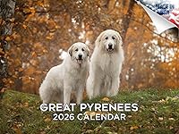 Vista 203 de Razas de Perros 2017