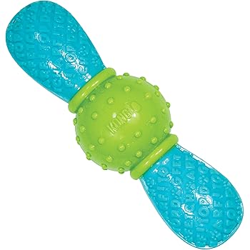 kong core strength ball