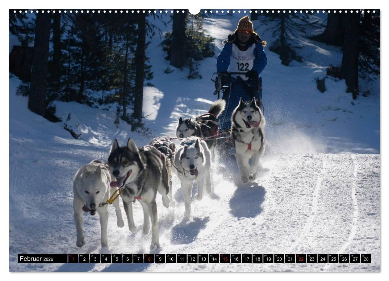 Aktiv rund um die Welt (hochwertiger Premium Wandkalender 2026 DIN A2 quer), Kunstdruck in Hochglanz: Outdoor Sport auf den 3 Kontinenten Südamerika, Europa, Asien (CALVENDO Sport)