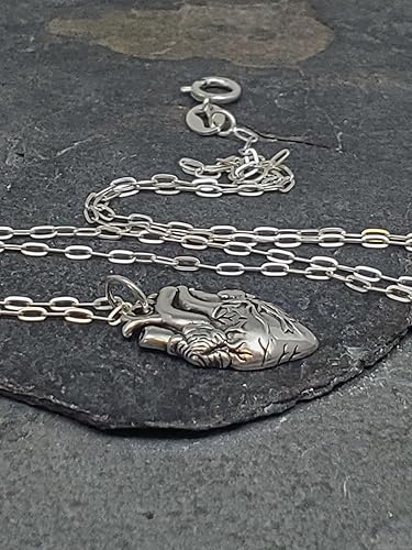 Miniatura 4 de Sterling Silver Anatomical Human Heart Charm Necklace, 18"