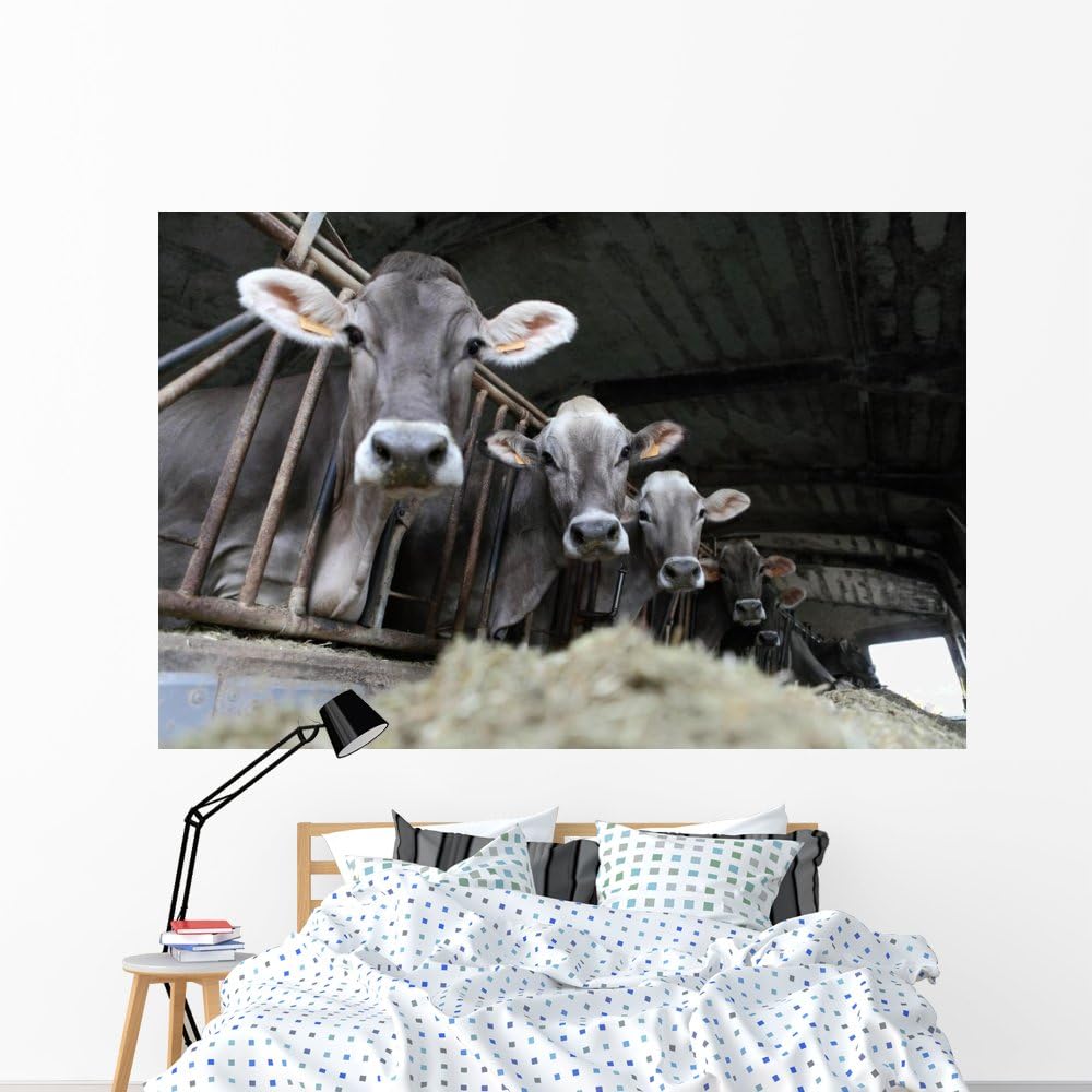 Wallmonkeys Cows Farm Wall Mural Peel and Stick Graphic (72 in W x 48 in H) WM366044