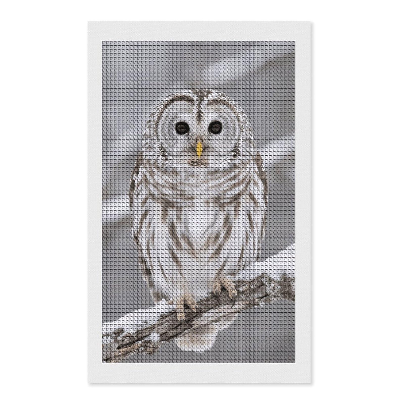 FodPand Curious Barred Owl Closeup 5D Diamond Painting Kits for Adults Beginners Full Drill Square Diamond Dots Pictures Gem Art Supplies for Home Wall Room Decoration DIY Craft Set Gift 12x20