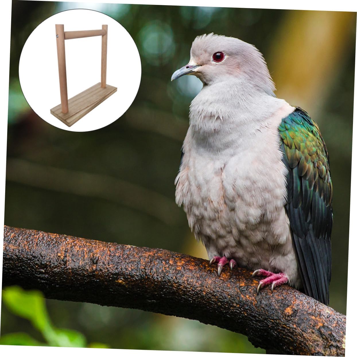 Yardwe 1pc Wood Parrot Climbing Rack Stand Natural Branch Perch Toy for Cockatiels Parakeets and Birds Paw Grinding Exercise Play Equipment for Bird Cages