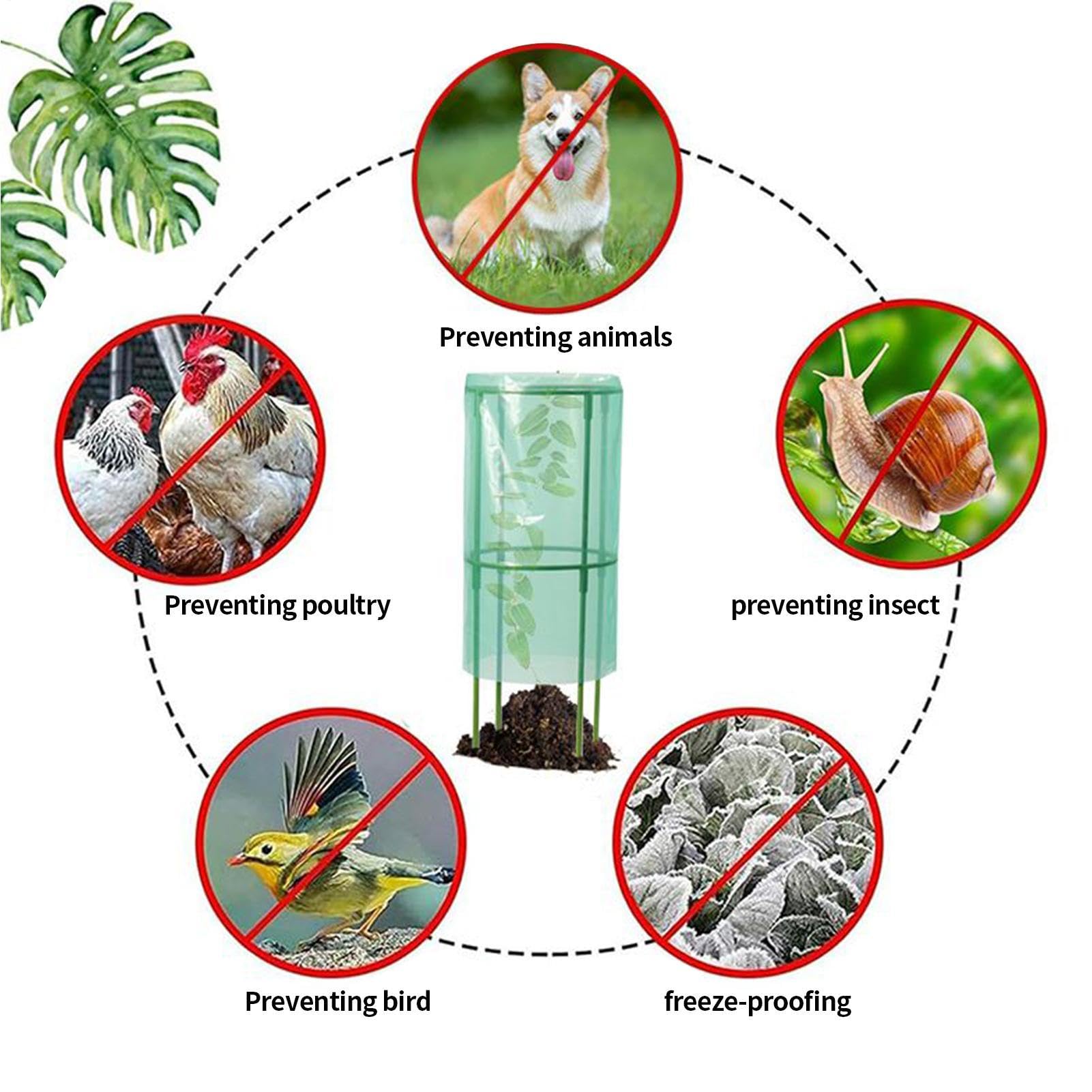 Cloches De Jardin Pour La Protection Des Protection Contre Les Animaux Et | Cloches Pour Et Au Jardin Adapté aux myrtilliers légumes fruits potager surélevé balcon urbain et verger