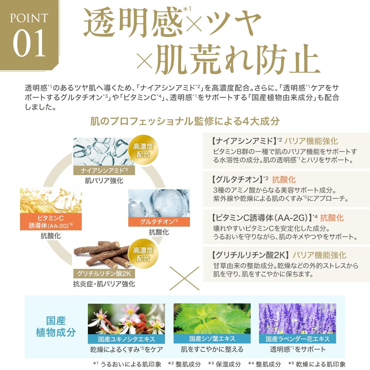 Amazon | FTC ザ・ブライトチャージ ローション 100ml 君島十和子 化粧
