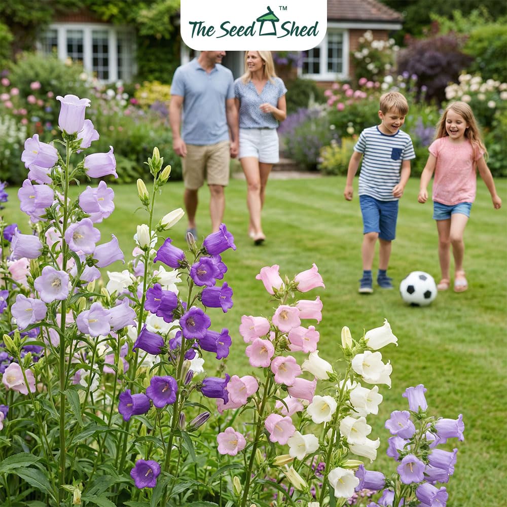 View 4