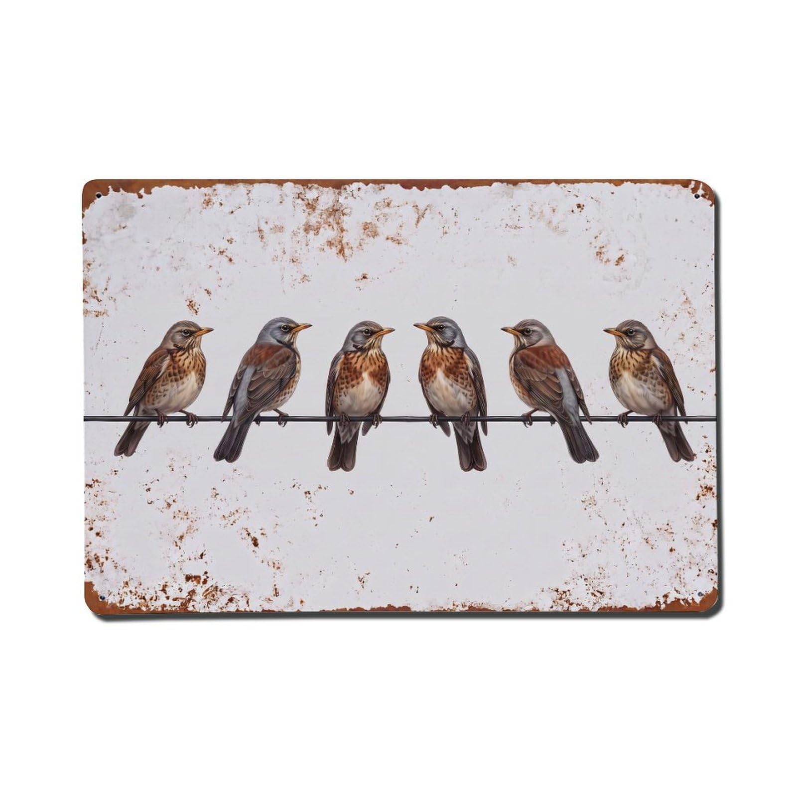 Vintage Retro Birds Fieldfare Metal Tin Sign