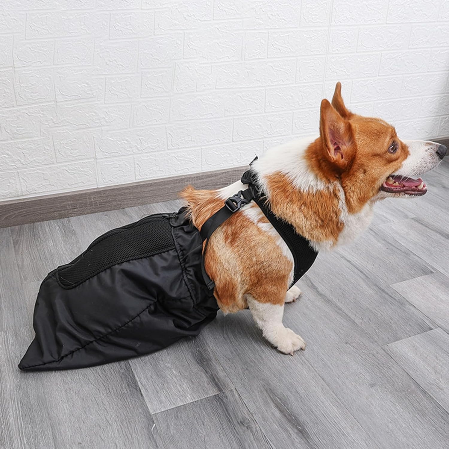 Amazon | 麻痺したペットのためのドラッグバッグ、屋内犬用車椅子の
