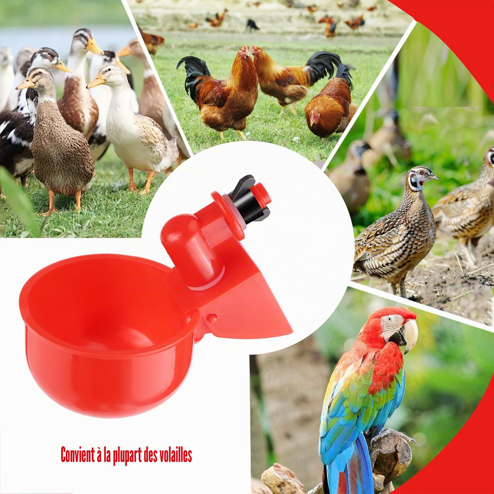 Abreuvoir Poules Automatique 6 Pièce Abreuvoir Volaille en Plastique | Breuvoir de Poulet Kit Volaille Automatique Abreuvoir pour Oiseau Caille Pigeon Poulet Poule