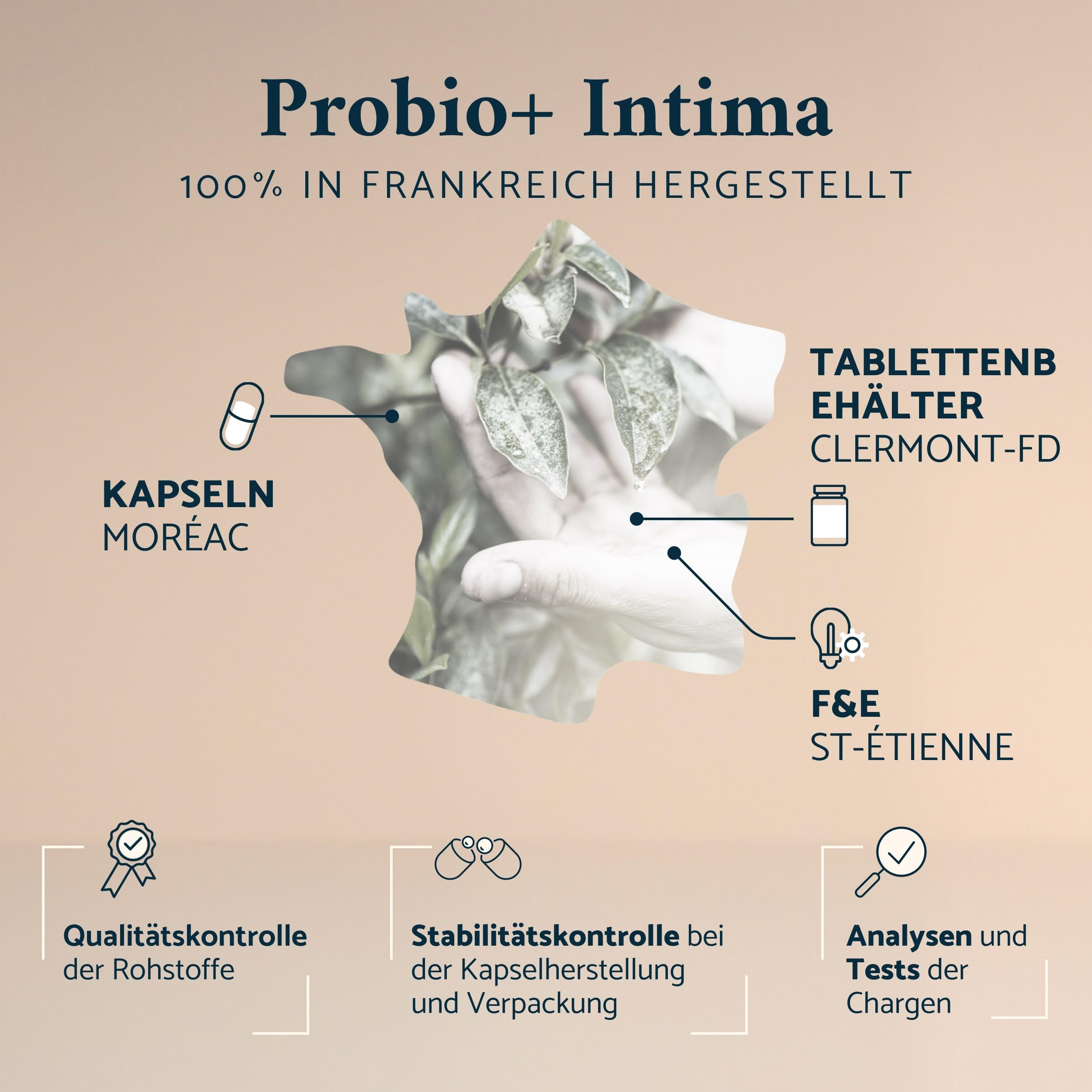 Apyforme - Bakterienstämme für Frauen - Bis zu 40 Milliarden KBE/Tag - 4 Lactobacillus-Stämme: Reuteri, Rhamnosus, Crispatus und Acidophilus - 60 Kapseln - Probio+ Intima
