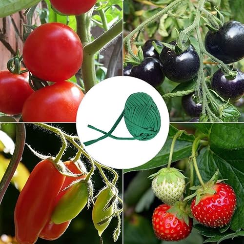 Miniatura 3 de Andy's Orchids Cordel de jardín verde, cuerda de jardín, lazos reutilizables para plantas trepadoras, árboles, flores, soportes elásticos para