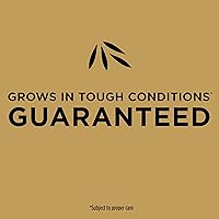 Vista 6 de Scotts EZ Seed Patch and Repair Centipede Grass, 3.75 lb (Paquete de 2)