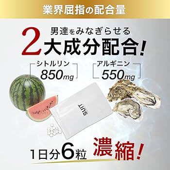 Beサプリセット Amazon | SUIT L-シトルリン高配合サプリメント ホリエモン