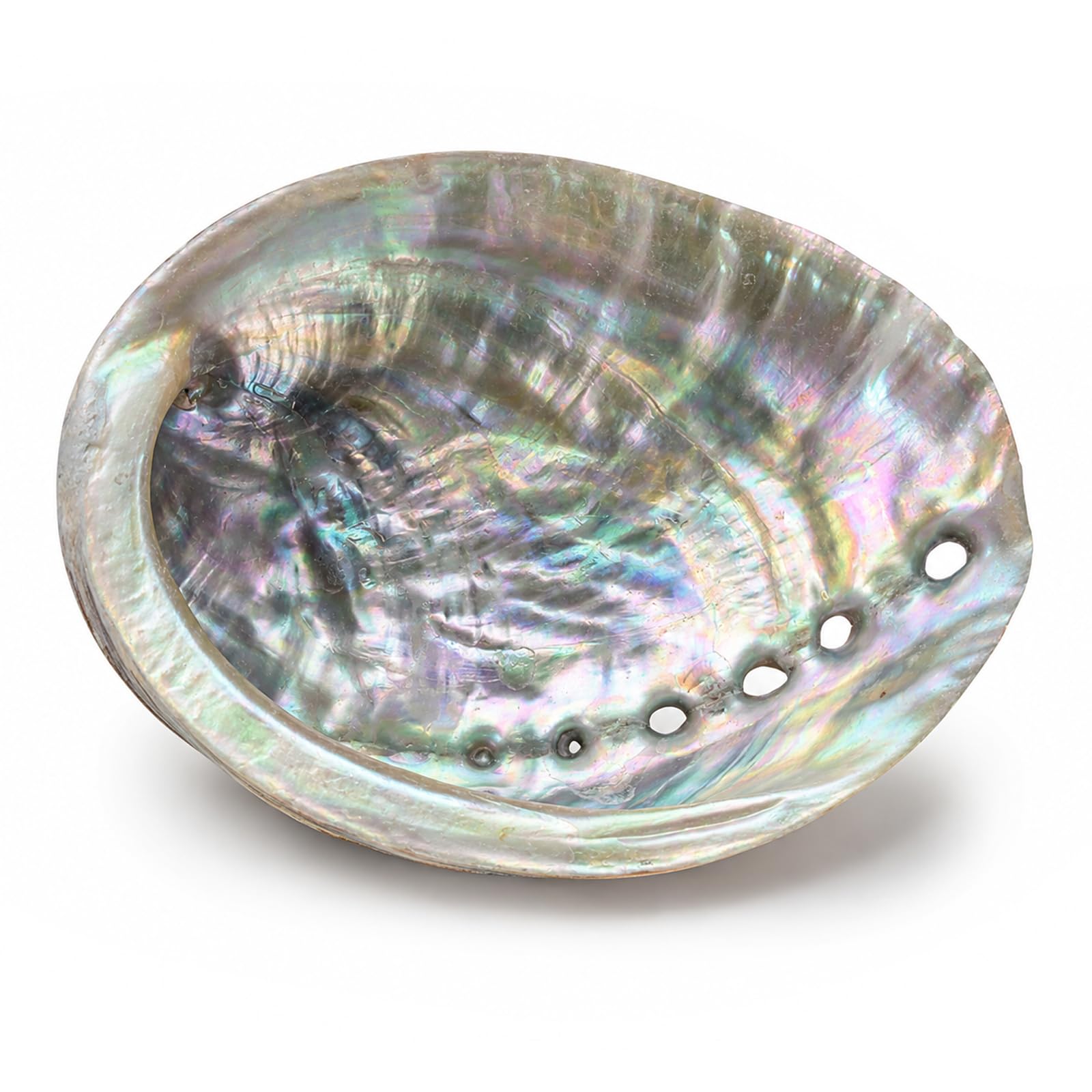 Natural Abalone Shell Smudge Bowl, Iridescent Paua Shell Dish for Burning Sage and Incense, Decorative Sea Shell Incense Holder for Home Fragrance, Jewellery and Soap Dish Display(4–4.5 inches)