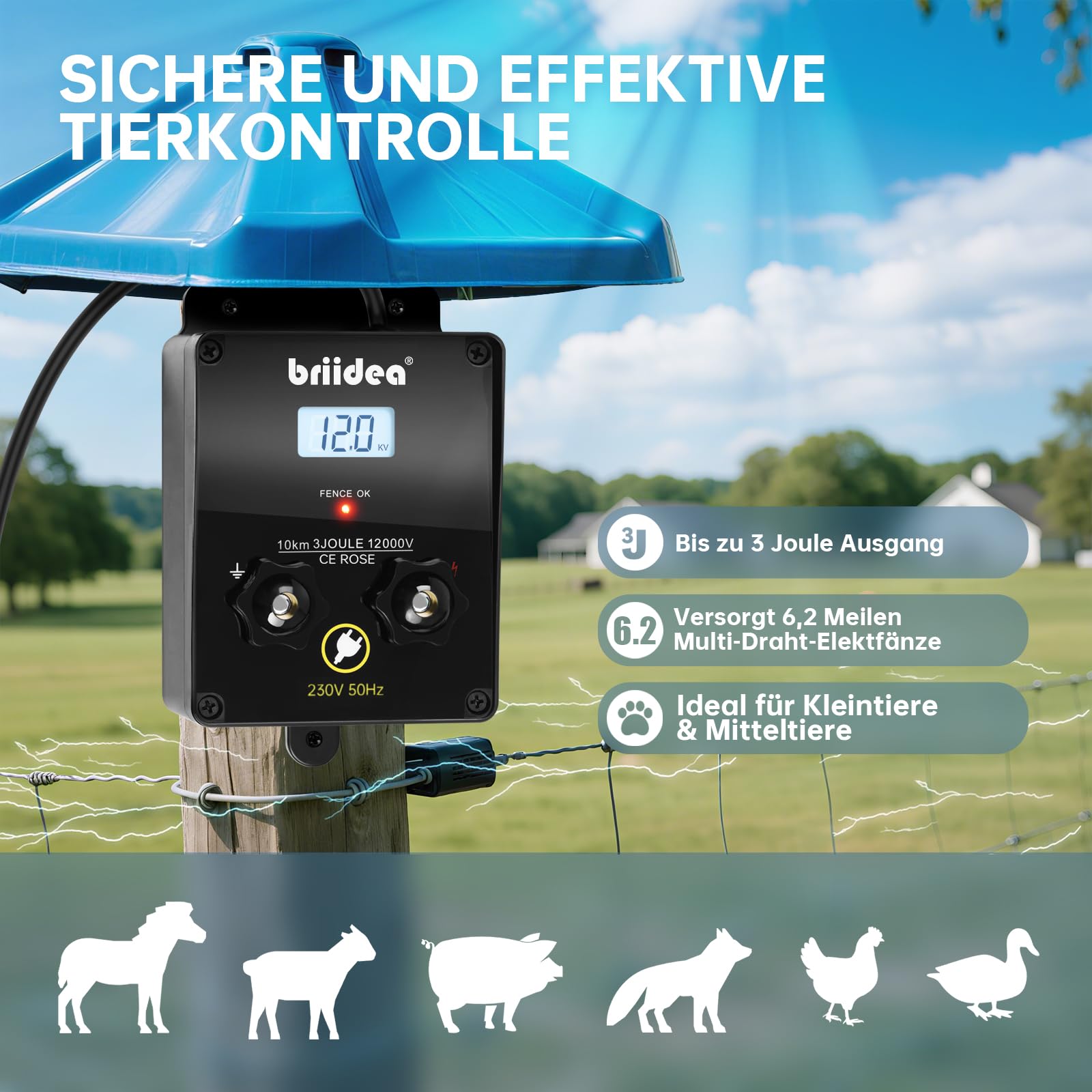 Briidea 12.000 V 3 Joule, caricatore elettrico per recinzione, portata 10 km, protezione sicura ed efficace degli animali da fattoria, giardino e pascolo