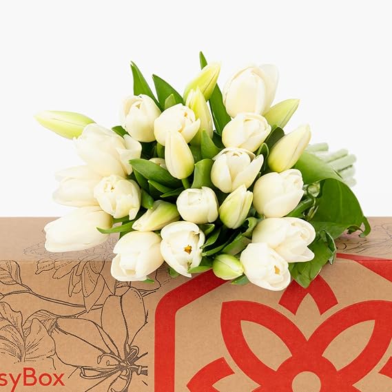 BloomsyBox: Pure White Tulips, 25 Stunning Stems, Bright Tulip, Farm Fresh Flowers | Care Card & Flower Food Included | Perfect for Weddings, Anniversary, Birthday. Decoration.