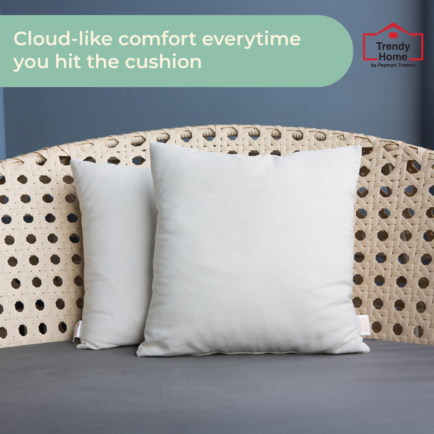 Trendy Home - Relleno de Almohada de 16 x 16 Pulgadas, hipoalergénico, Decorativo para el hogar, sofá, Cama (no Tejido, Paquete de 2)