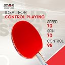 STAG ICONIC 4 Star Table Tennis Racquet for Beginners & Intermediate Players | High Speed & Control with Inverted Smooth Rubber | Flared Handle Shakehand (Red/Black) gallery image