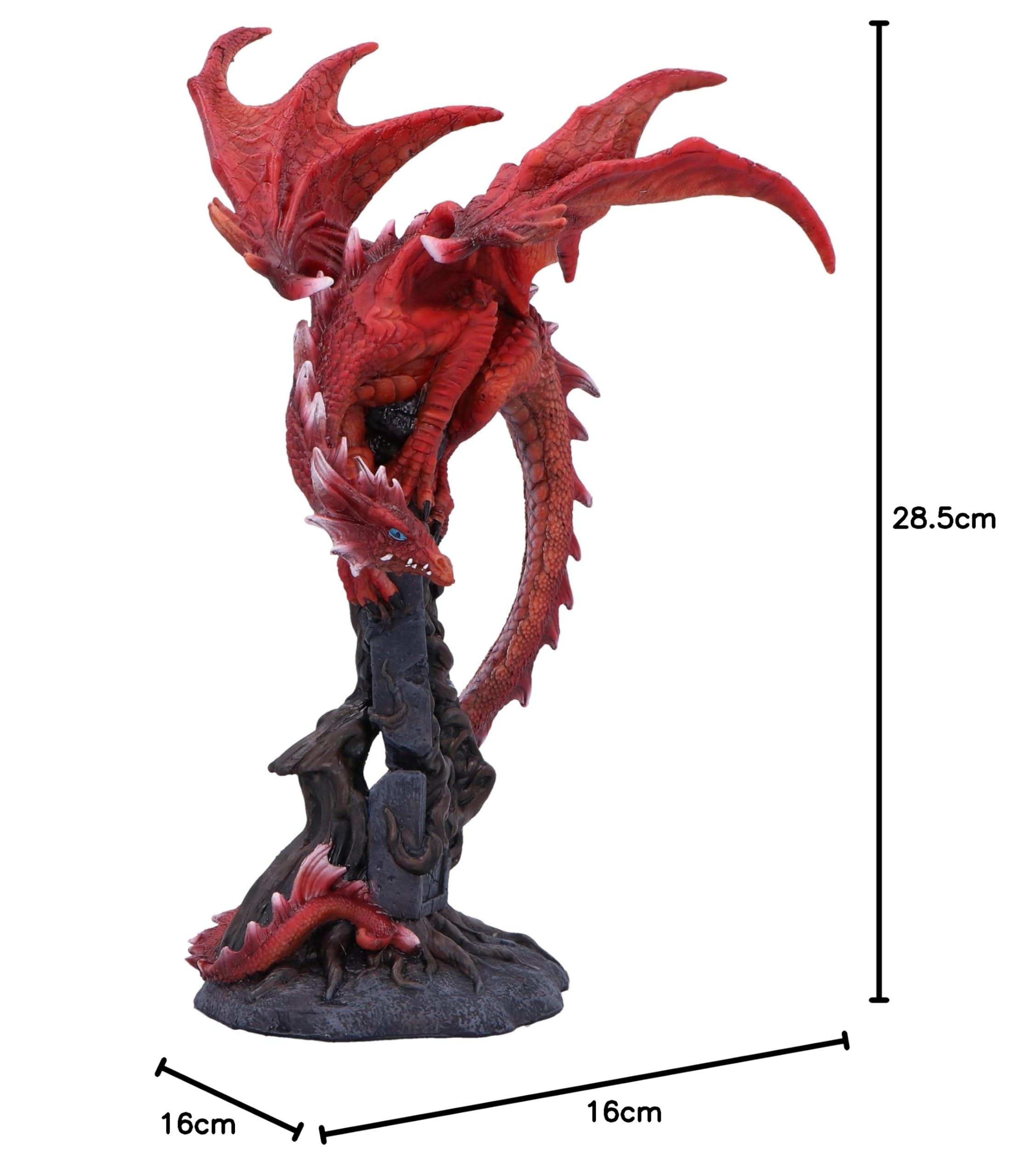 Nemesis Now Figura di radici draconiche 28,5 cm, resina, drago rosso su pietra, ornamento drago rosso, regalo da collezione, fuso in resina di alta qualità, sapientemente dipinto a mano