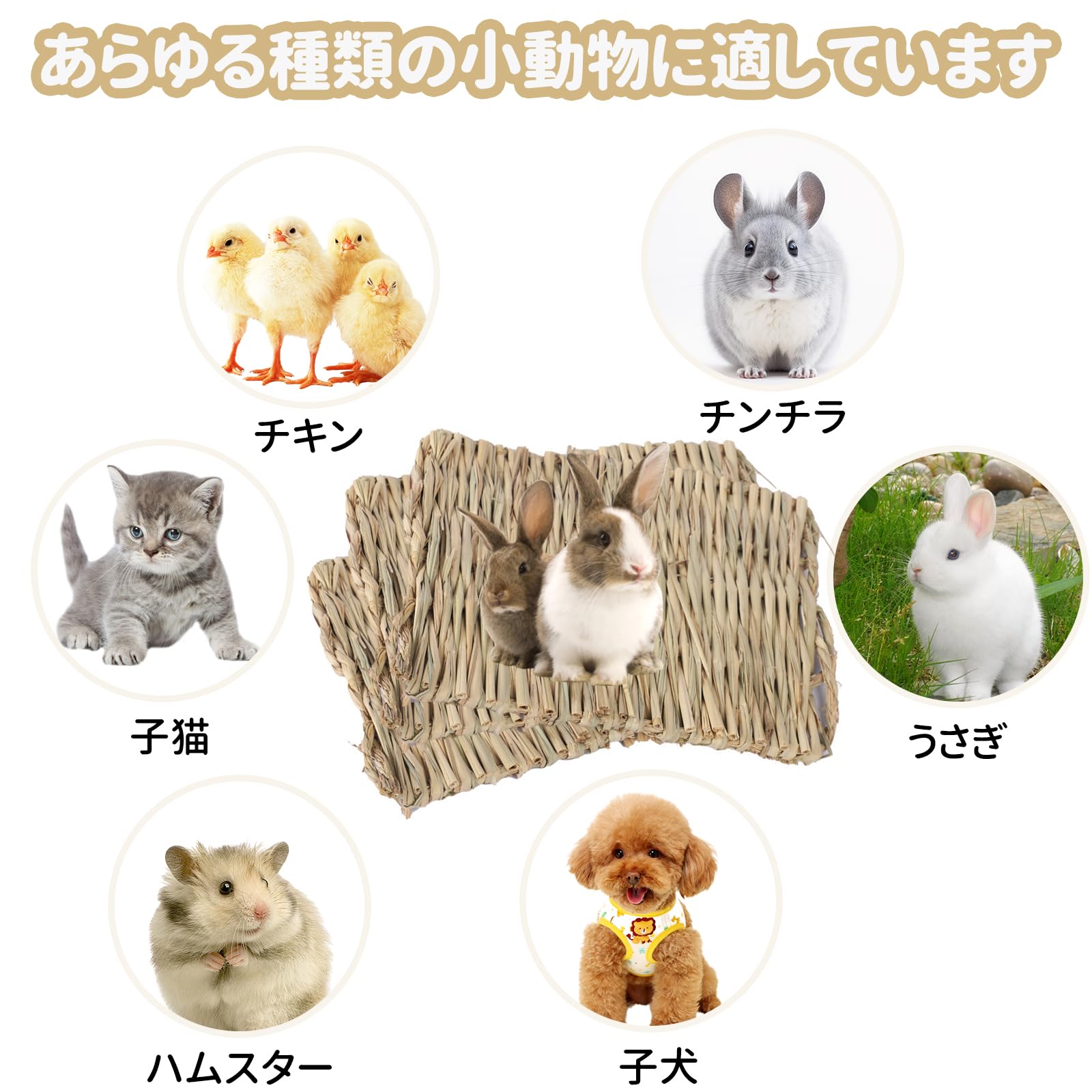 最終値下げ！うさぎ、チンチラ、モルモット飼育セット 小動物好き必見