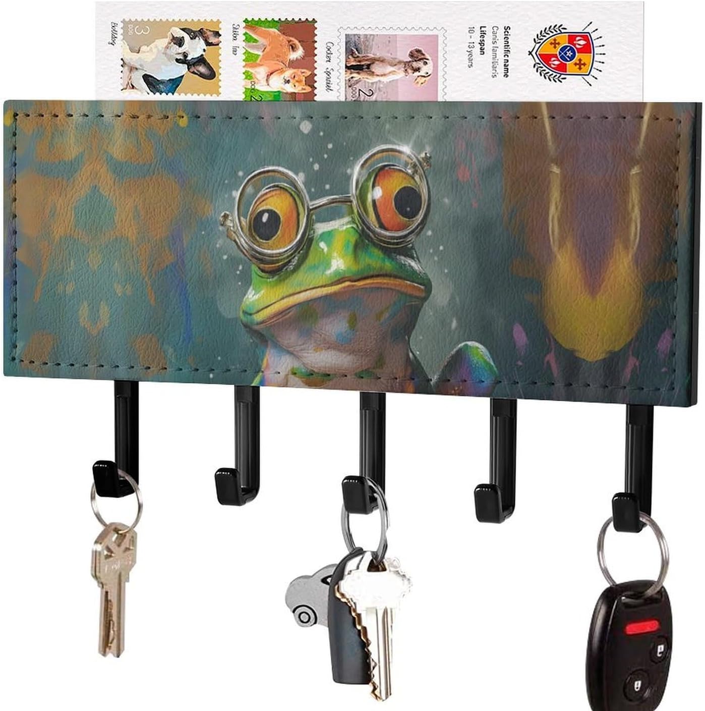 KKdskkds Colorful Frog with Glasses on Book Key Holder with 5 Hooks