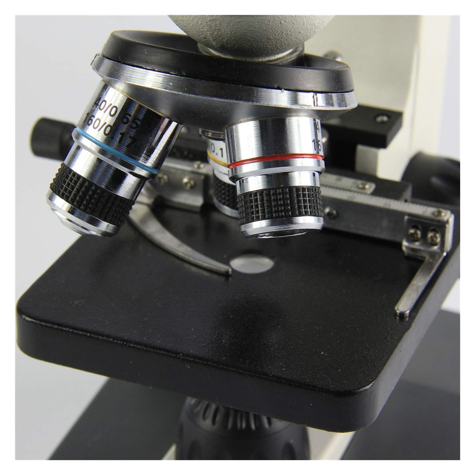 Mikroskop, Mikroskop biologiczny, X-S-P116-V Dual Viewing Head Biologiczny dla dzieci