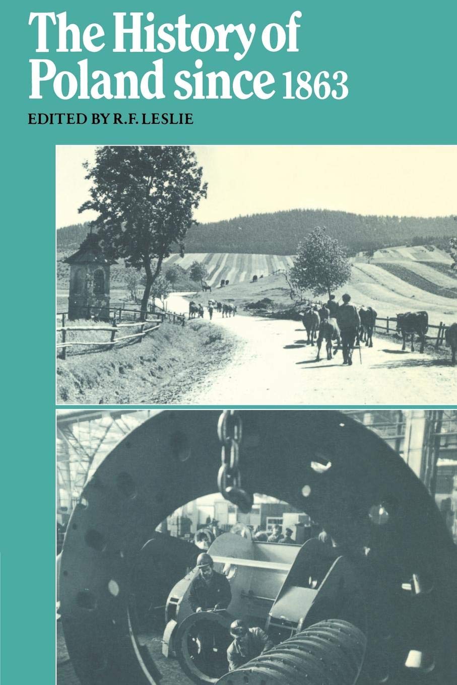 History of Poland since 1863: 31 (Cambridge Russian, Soviet and Post-Soviet Studies, Series Number 31)
