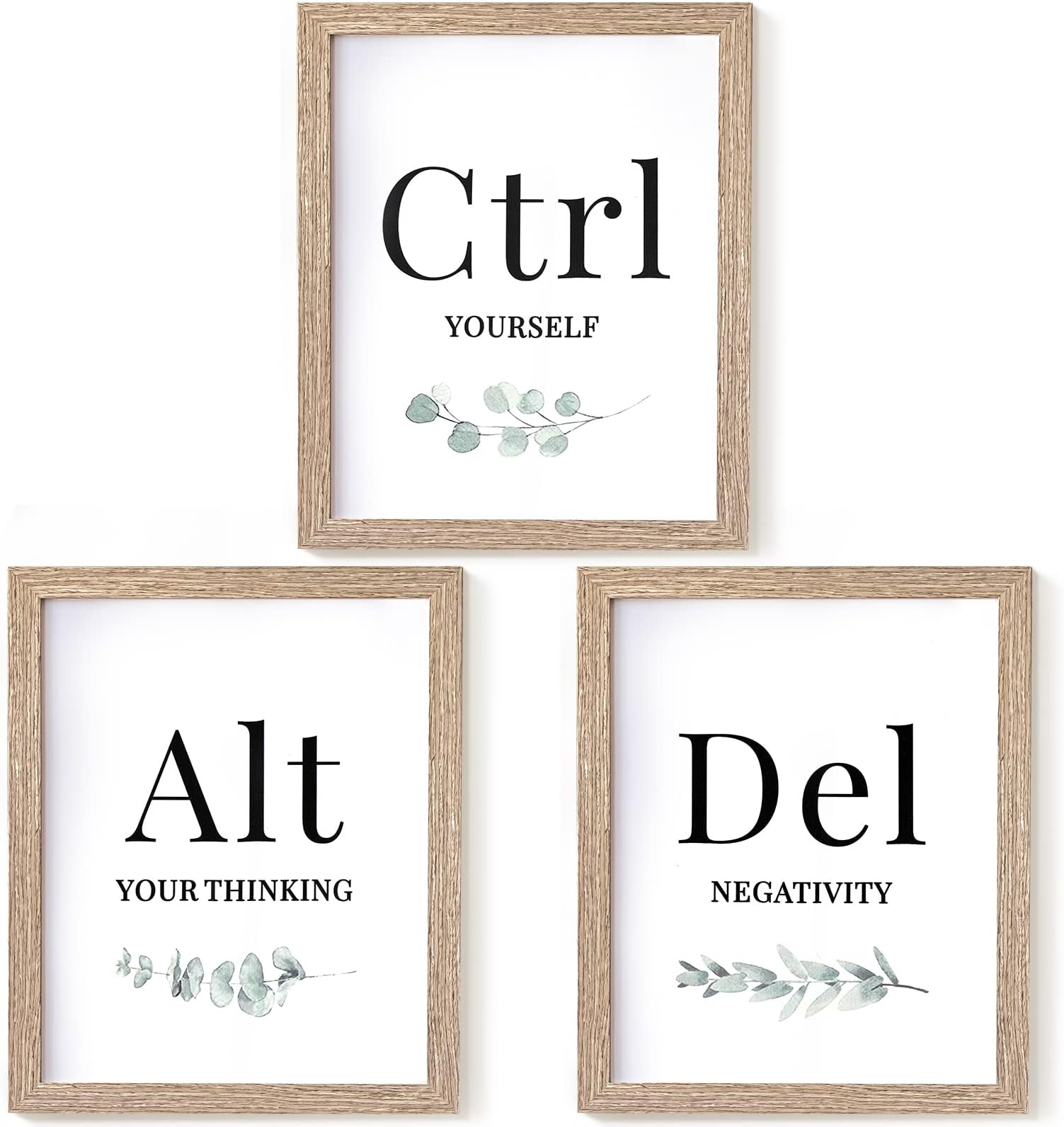 Ctrl Alt Del Motivational Wall Art Inspirational Quote Office Wall Decor Motivational Posters for Office Positive Affirmations Poster Motivational Decor for Home School Office, 10 x 8 Inch, Unframed