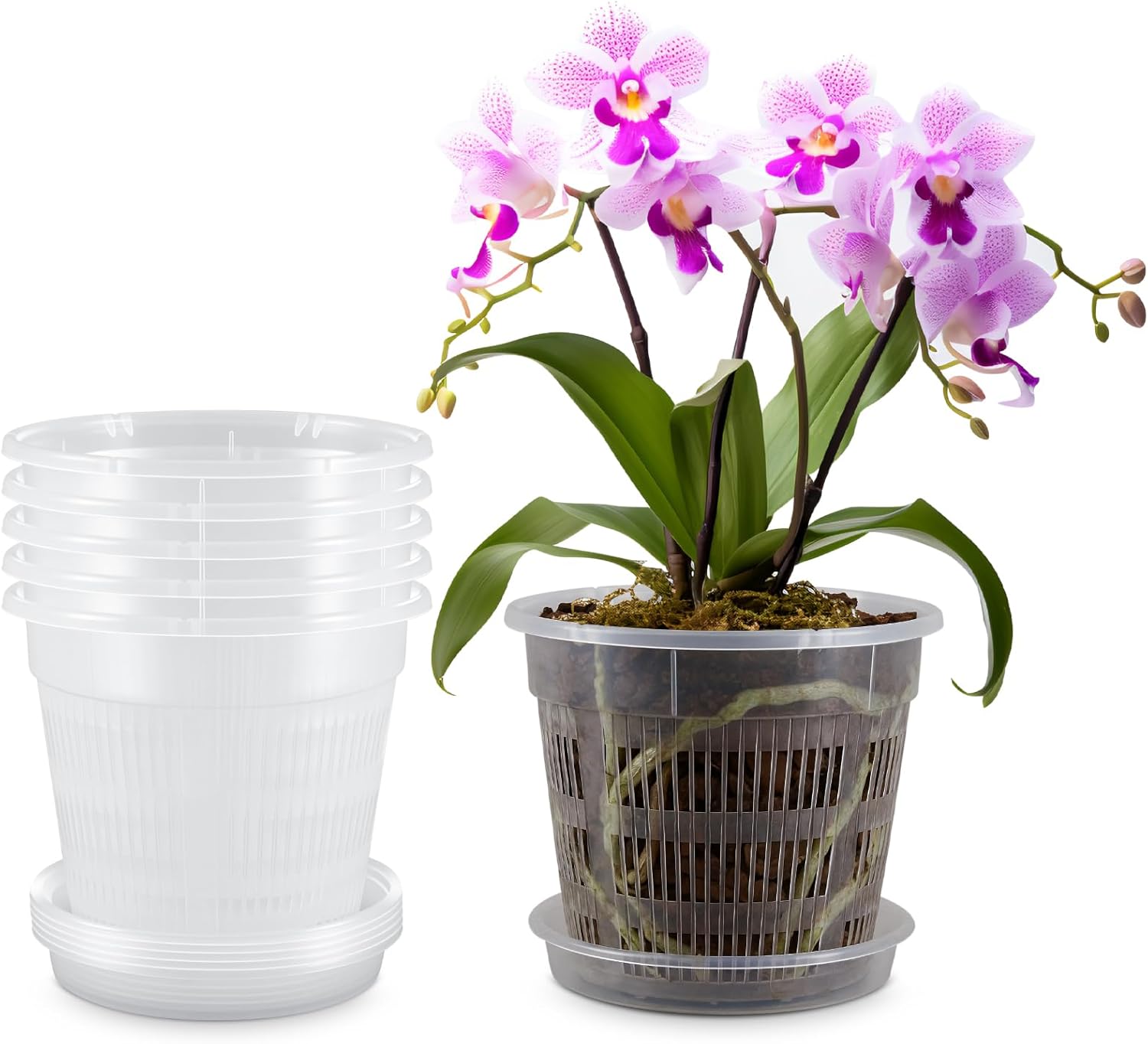 SiliFine 6 Pack Orchid Pot with Holes and Saucers 7.5 Inch Clear Plastic Planter with Holes Trays Breathable Slotted Flower Plant Pot for Indoor Outdoor Plants Nursery Root Health Repotting