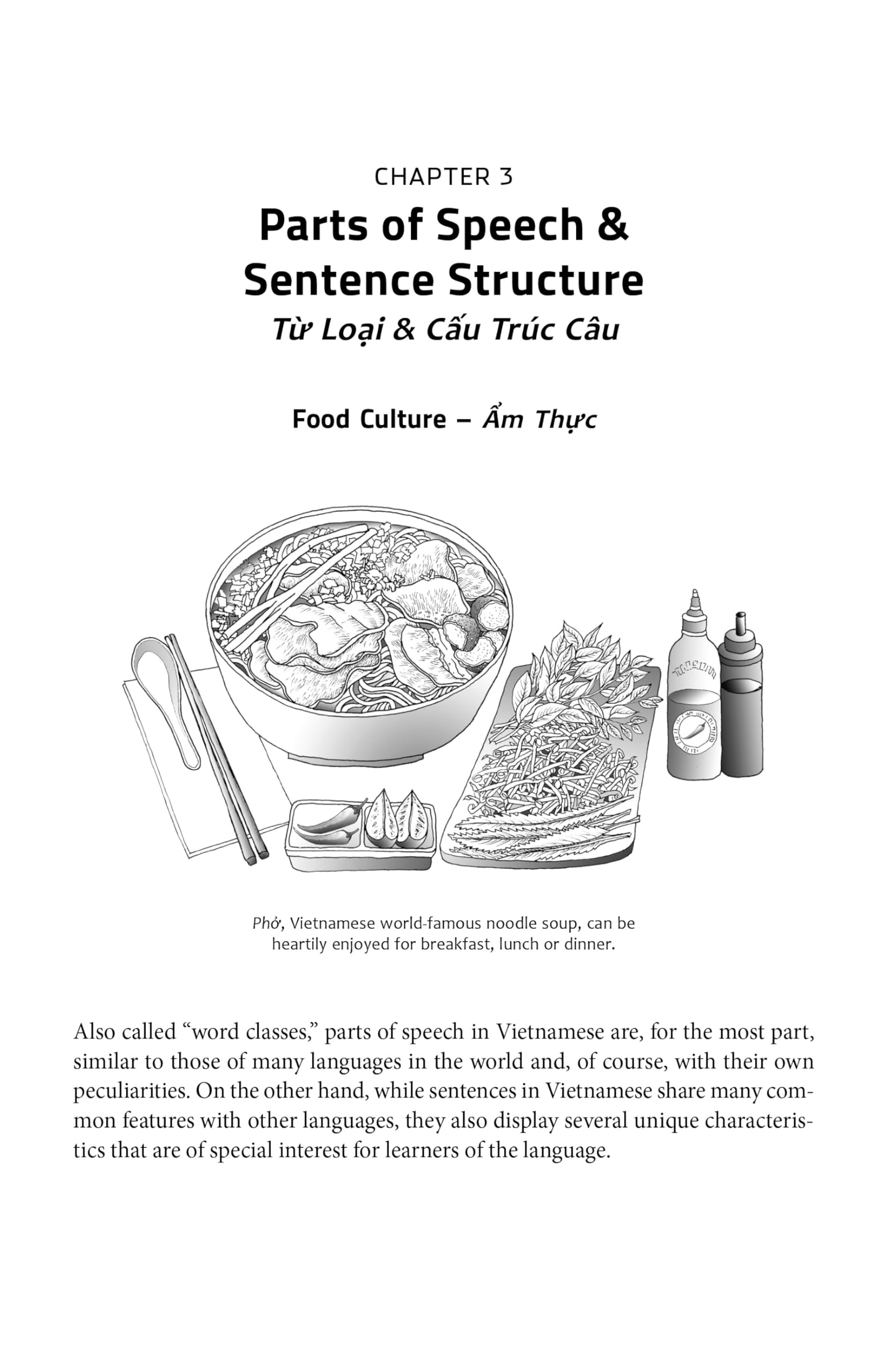Essential Vietnamese Grammar: Speak and Write Vietnamese Like a Native! (Essential Grammar)