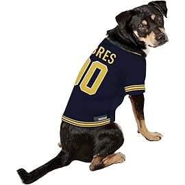 Pets First NHL Buffalo Sabres Jersey for Dogs & Cats, Small. - Let Your Pet Be A Real NHL Fan!